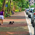 Circuloverde Pool Netflix Pet Friendly Freeparking