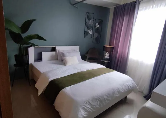 Shell Residences - Green Room 1 Bedroom No Balcony