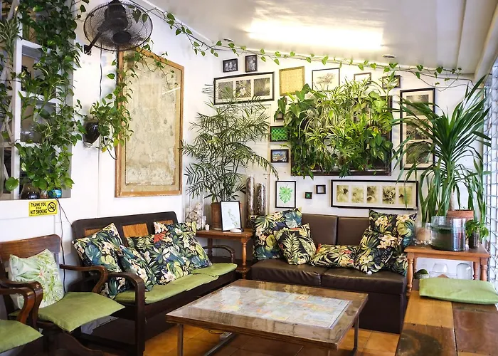 Humble Hut Hostel
