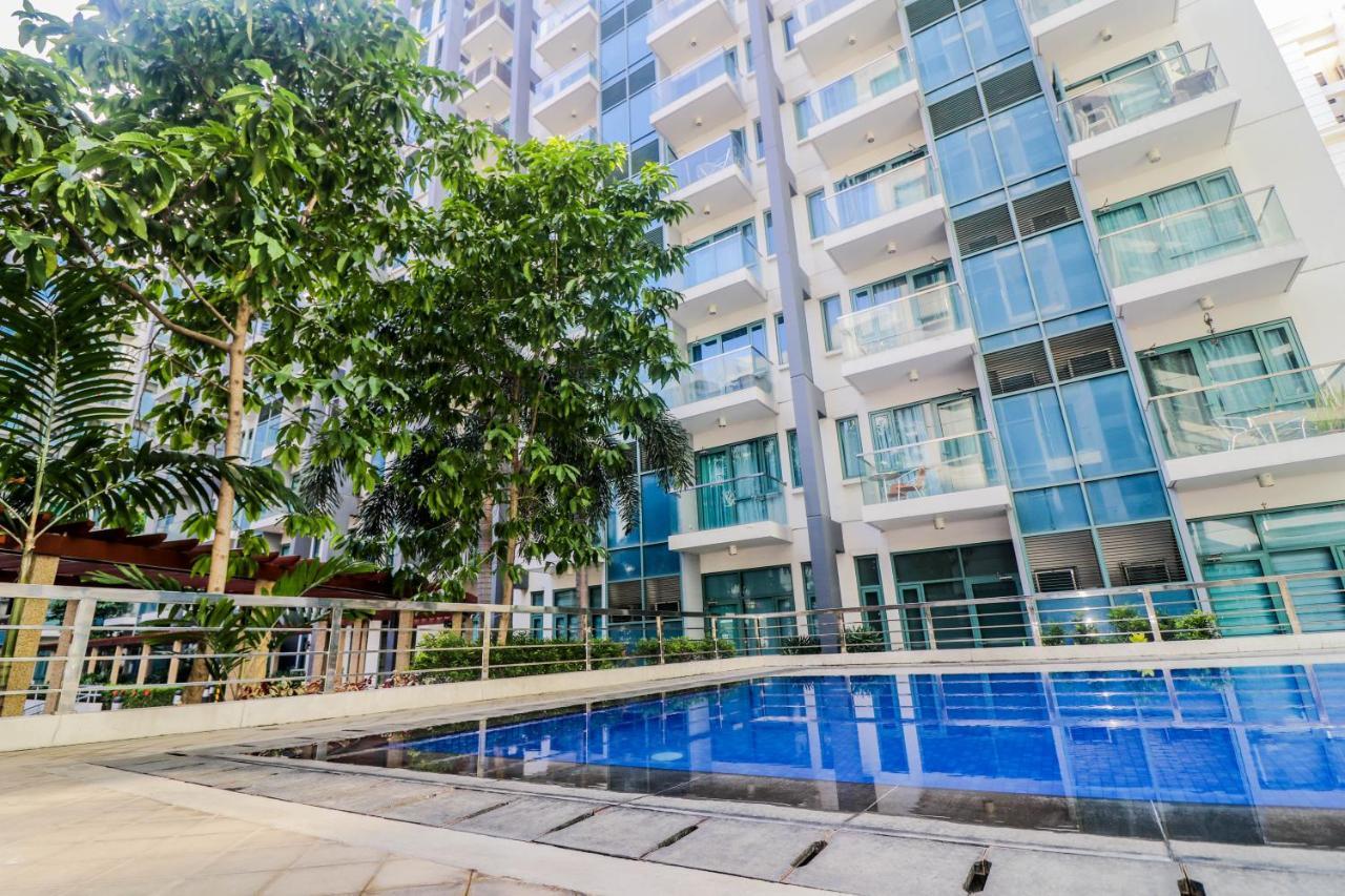 Prs At One Palm Tree Near T3 Airport