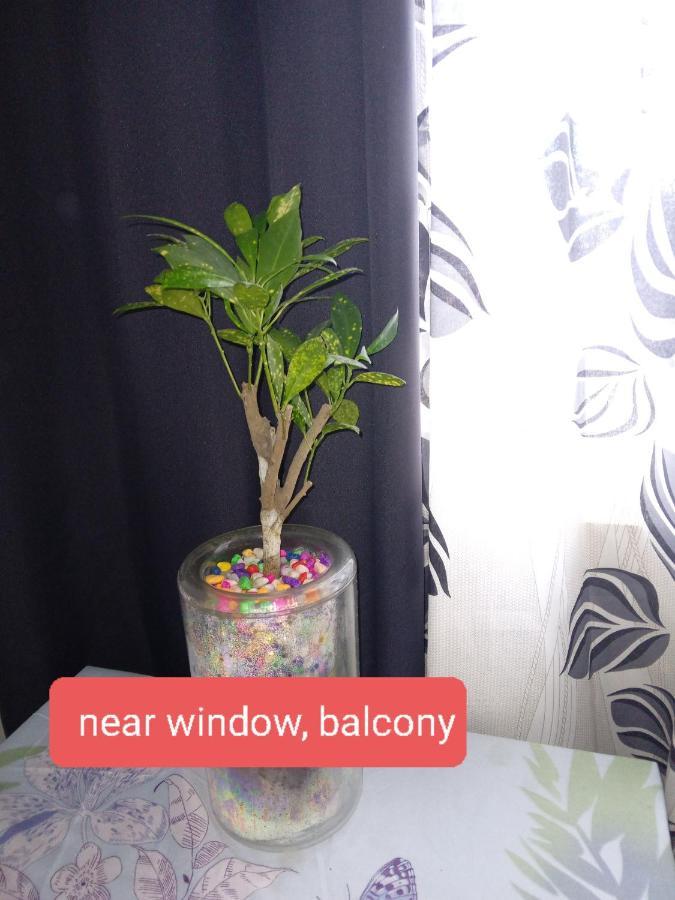 Apartment Lovely 2-br W/balcony In Sm-sucat, Paranaque *