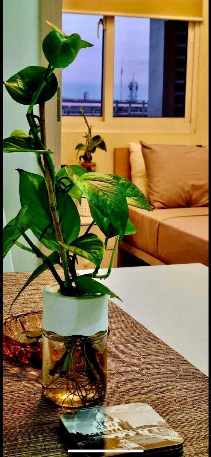 Apartment Field Smdc 1br W/ Netflix