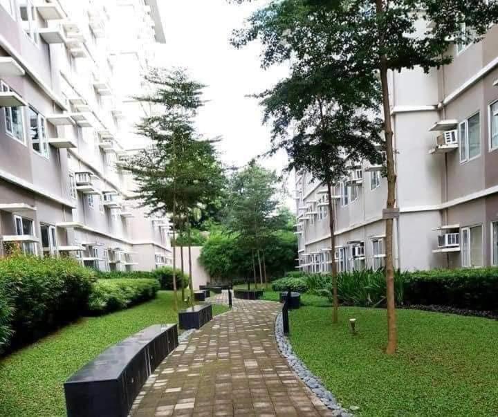Trees In Quezon With Balcony. *