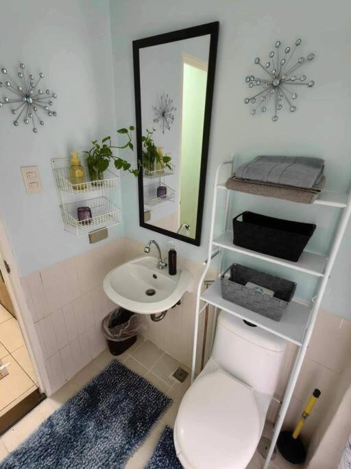 Apartment Urban Oasis 1 Bedroom