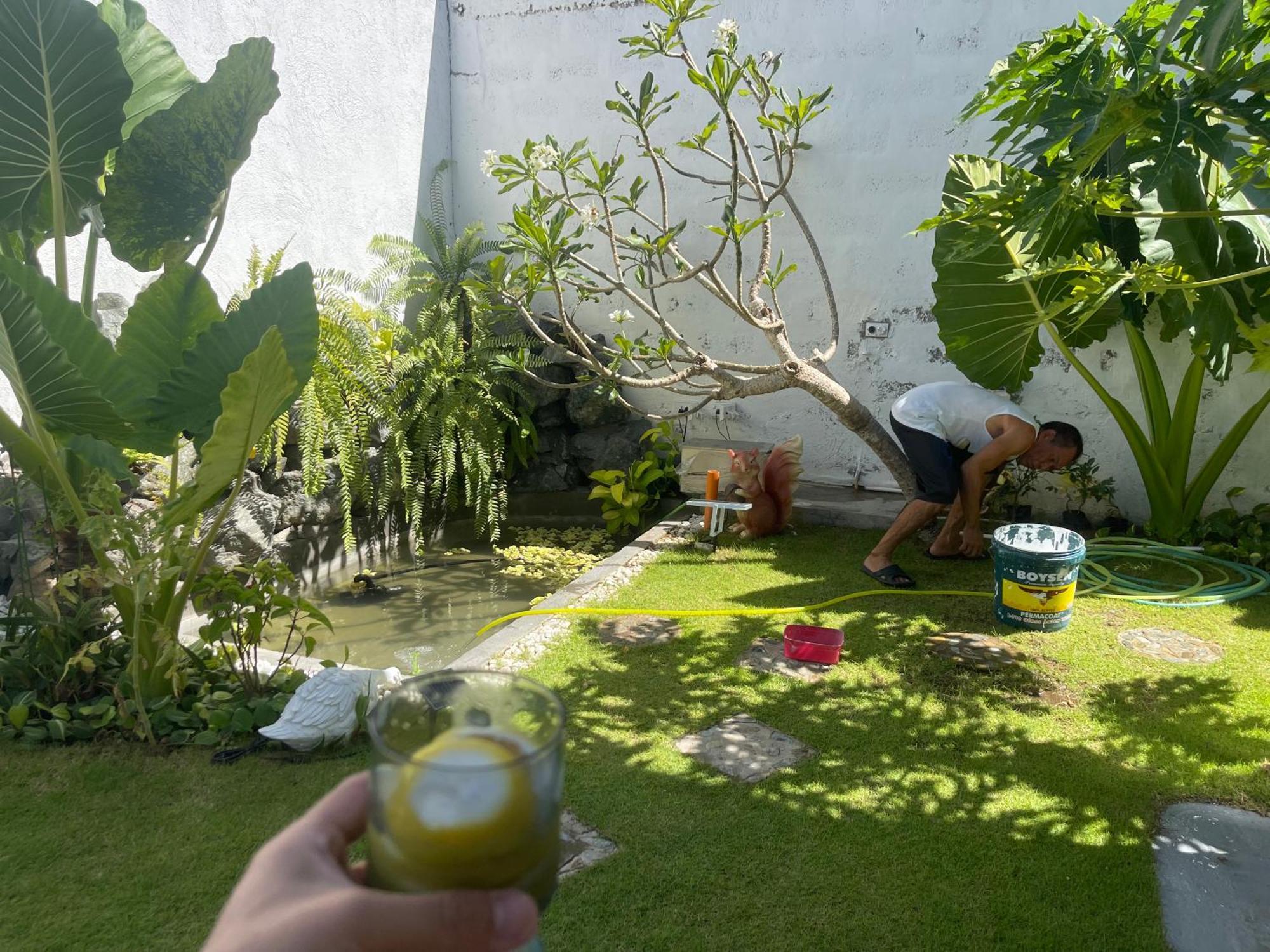 Ferienhaus Cozy