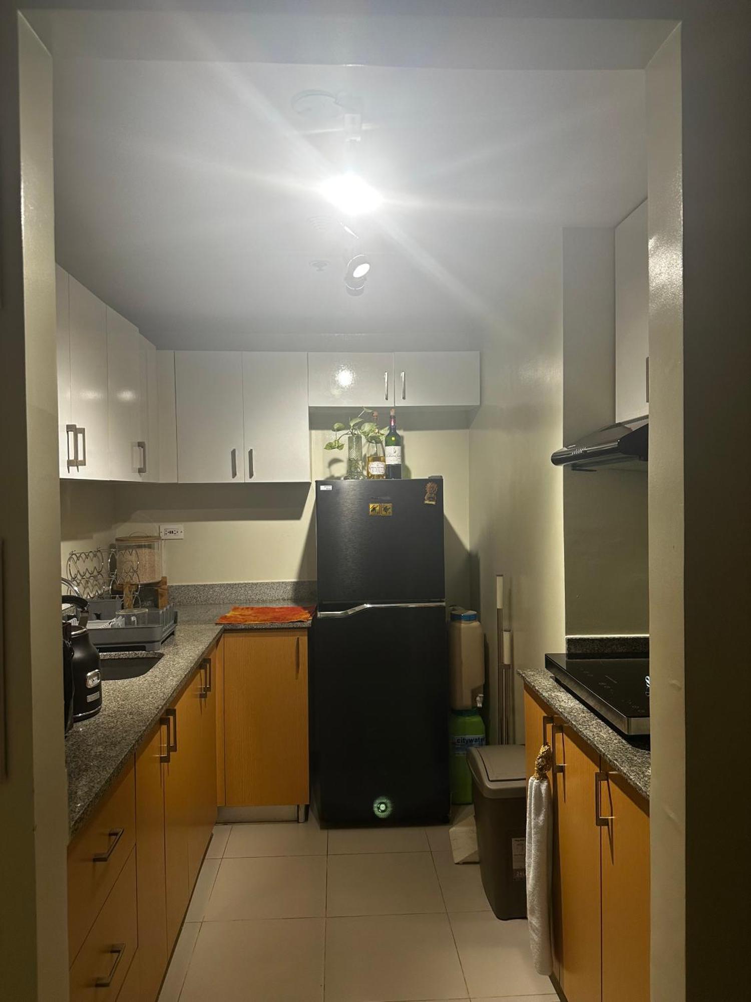 Manhattan Plaza Tower 1 Stylish City-center Unit Apartment Manila