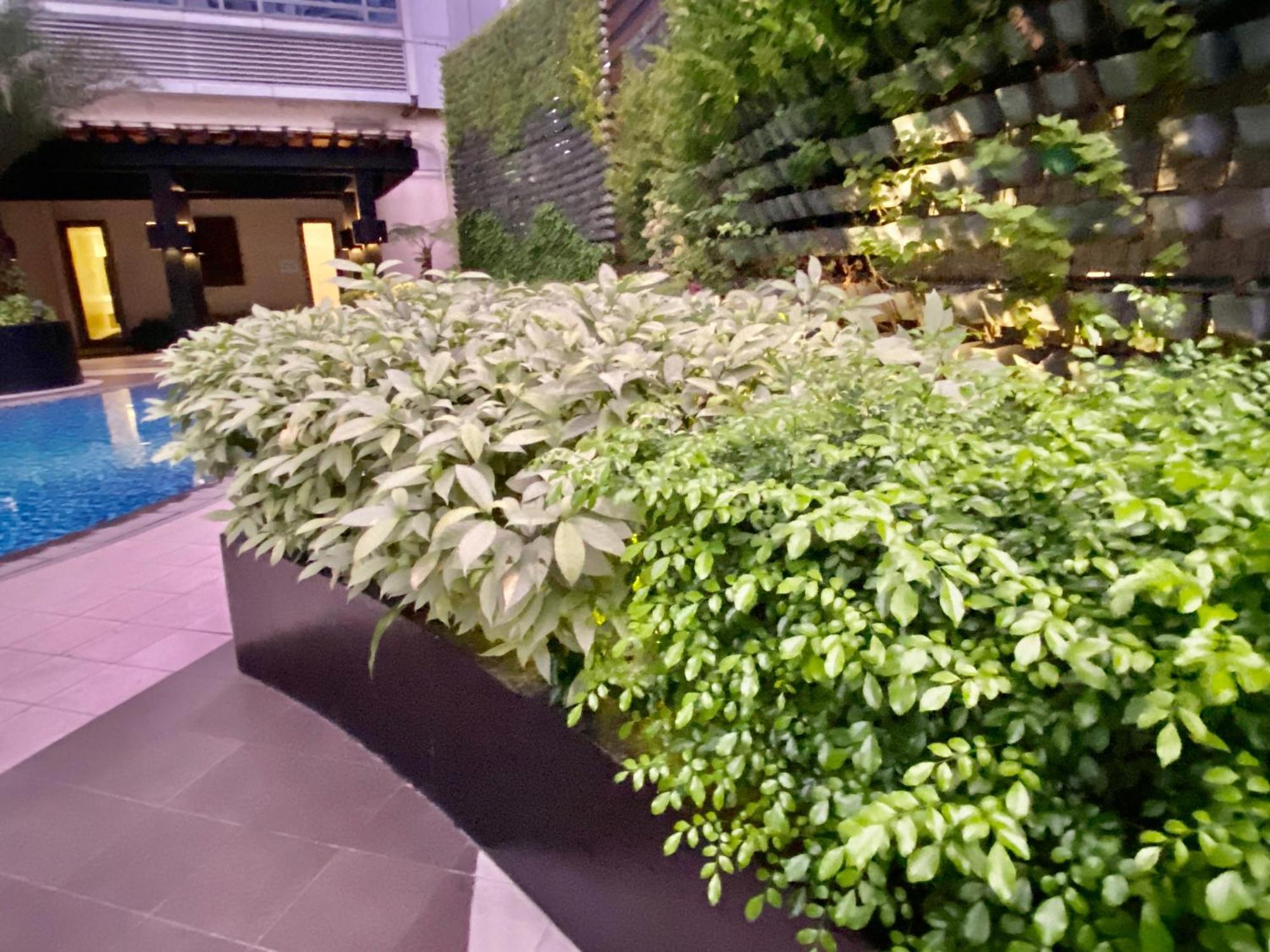Royal Majestic Makati Apartment