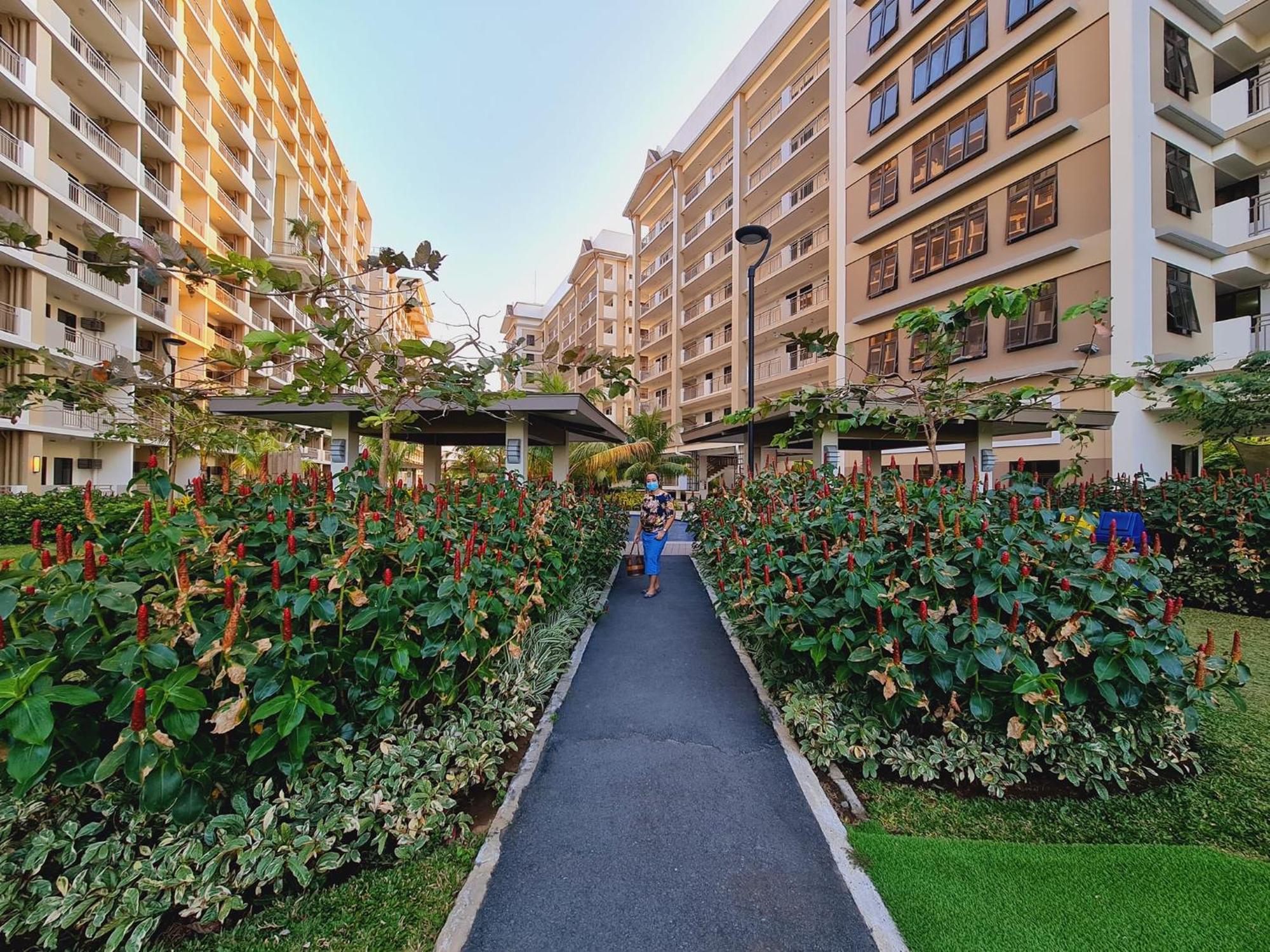 Calathea Place *