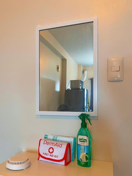 Circuloverde Pool Netflix Pet Friendly Freeparking Manila