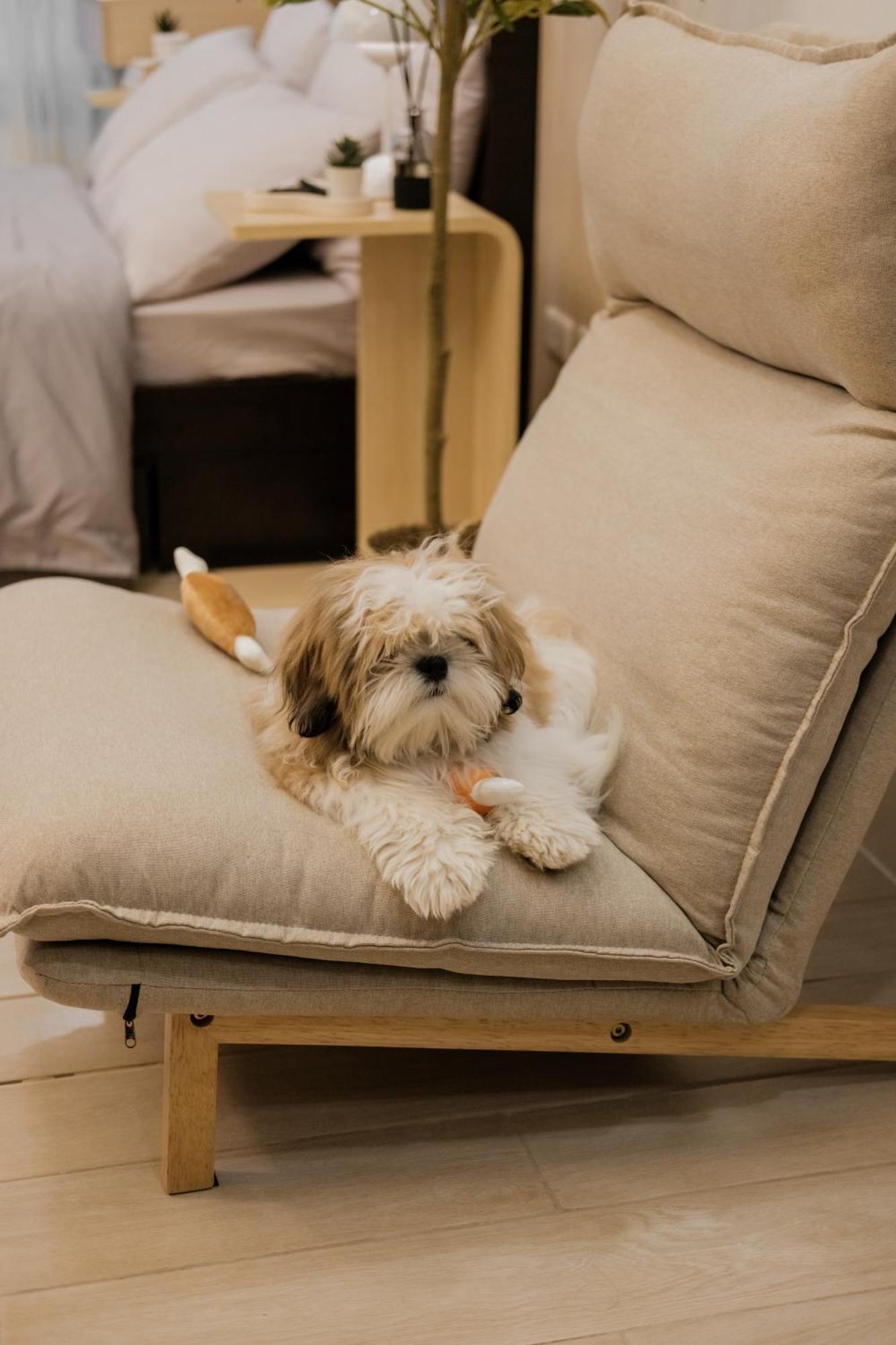 Cozy In Eastwood Legrand 3 Pet Friendly Fast Wifi *