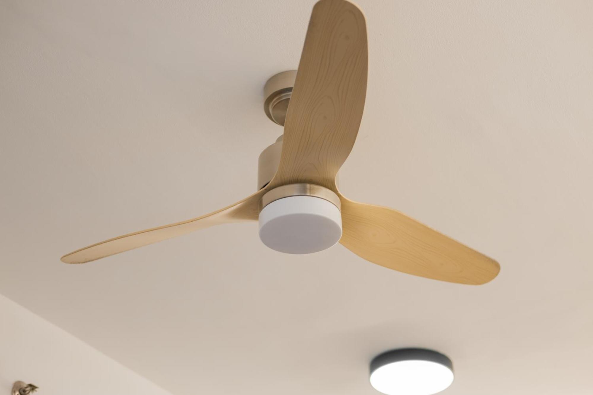 Cozy In Eastwood Legrand 3 Pet Friendly Fast Wifi Apartamento *
