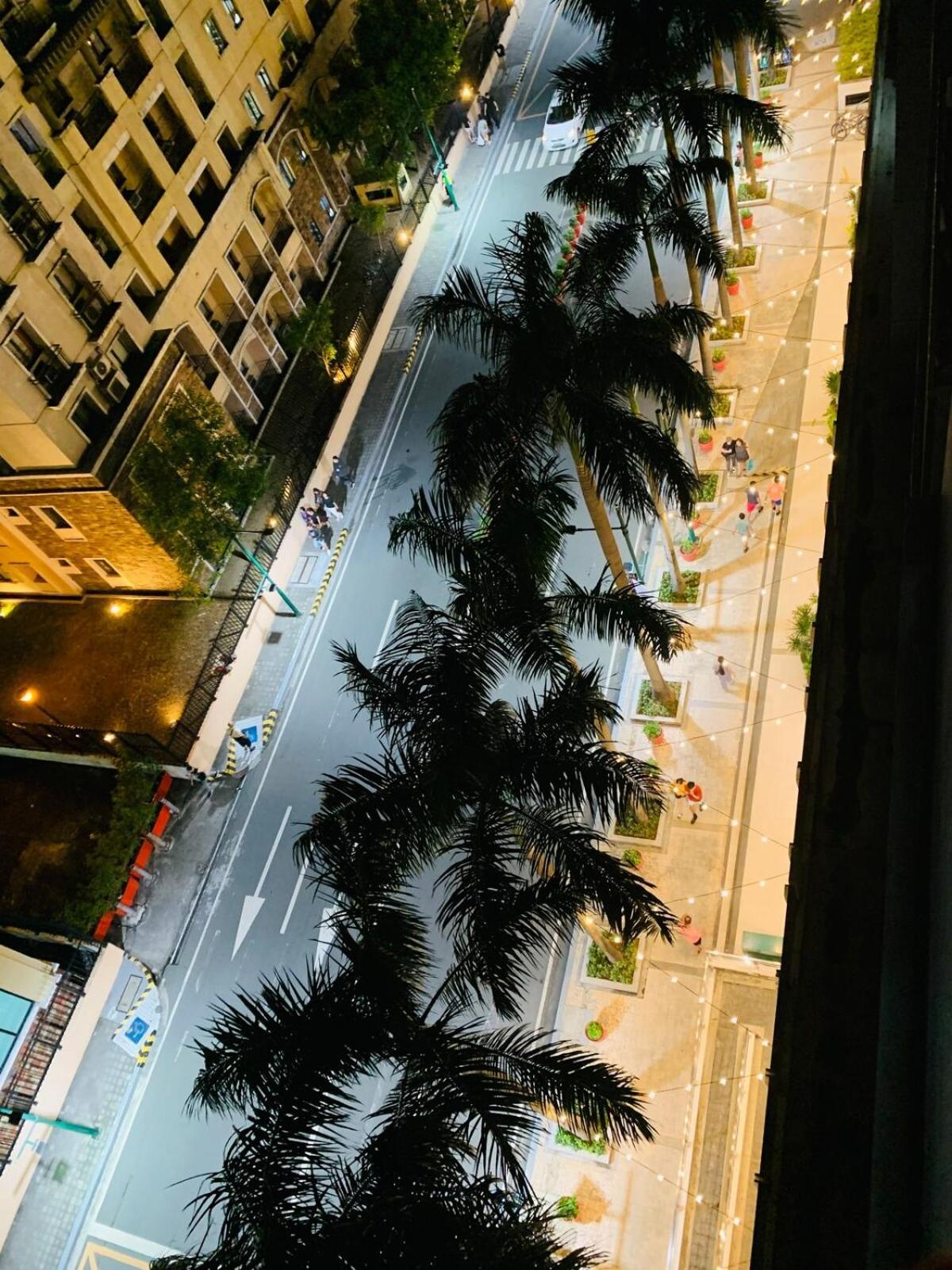 Apartment Two Palm Tree - 8a With Balcony - Across Terminal 3 Airport Manila