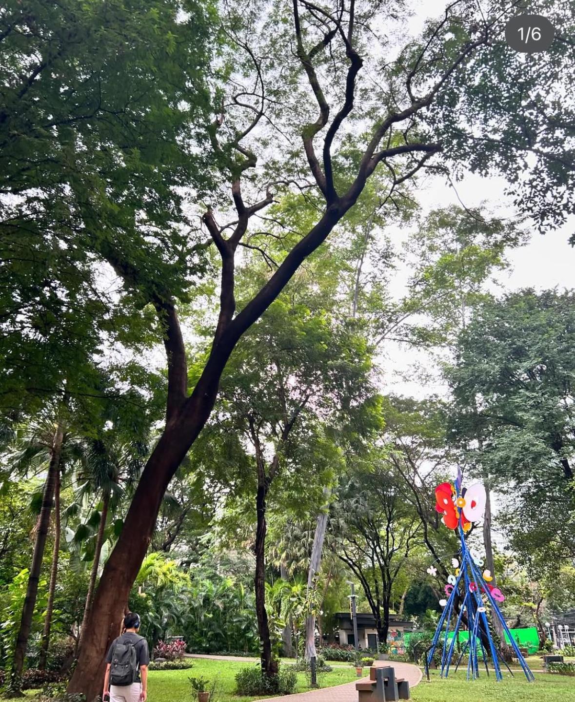 Greenbelt With Wifi, Pool And Gym Apartment Manila
