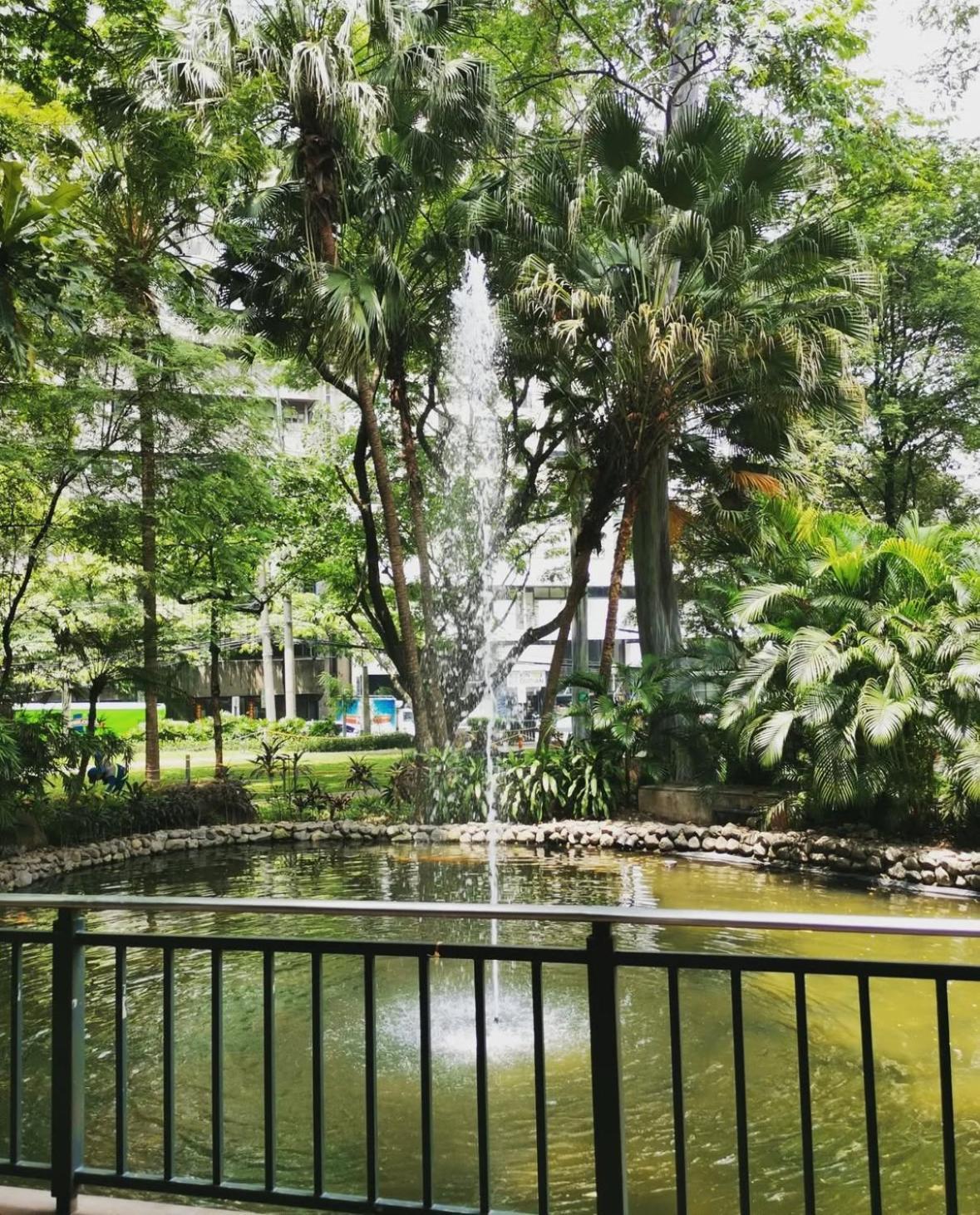 Apartment Greenbelt With Wifi, Pool And Gym Manila