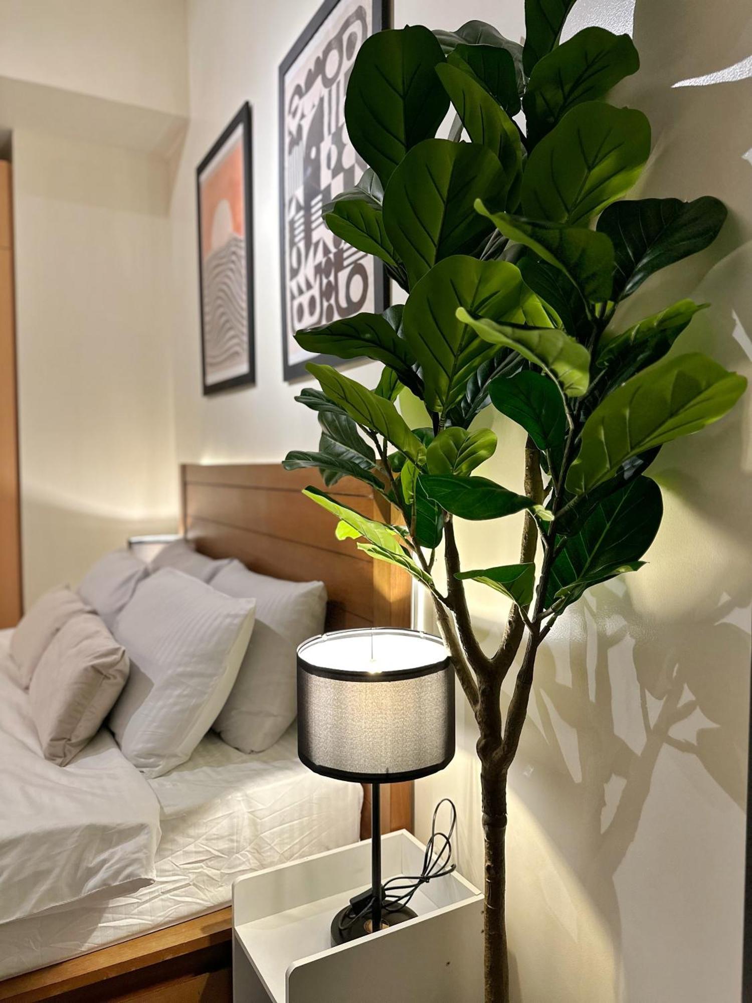 Apartment Greenbelt With Wifi, Pool And Gym