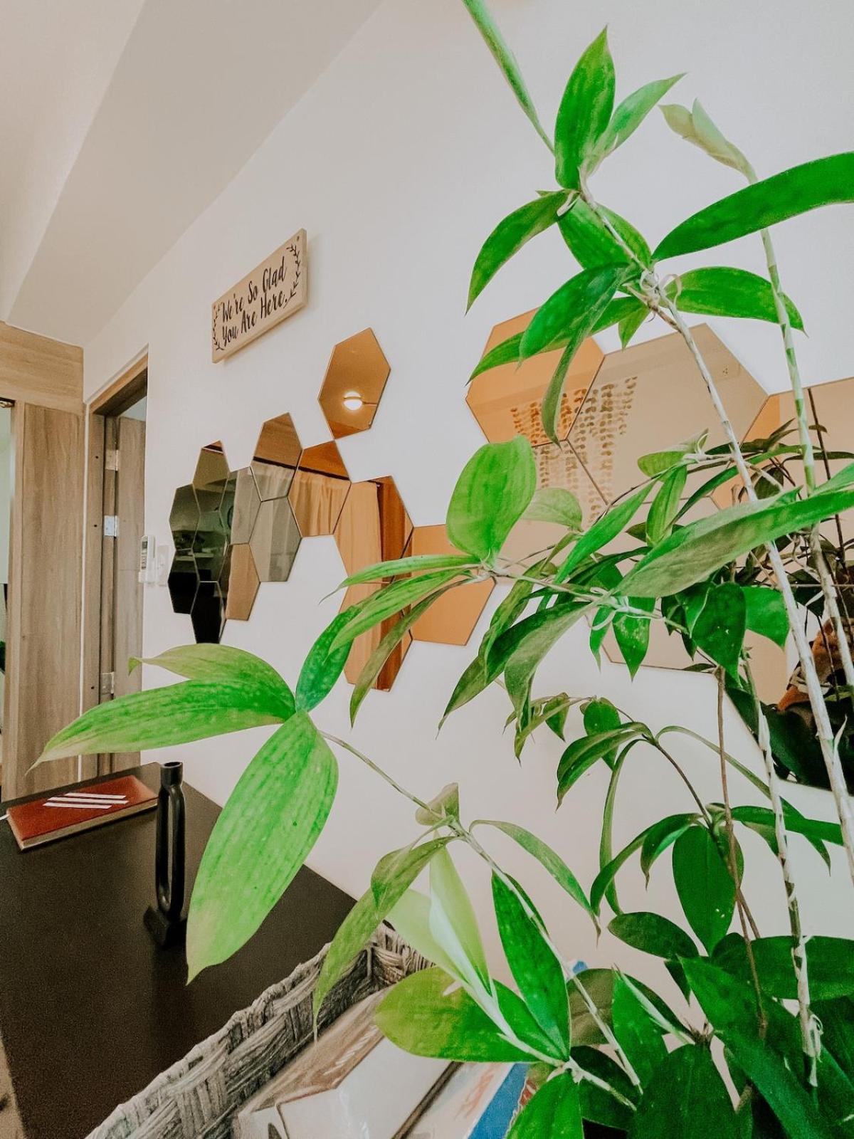 Apartment 2br Cozy Unit Near International Airport Manila