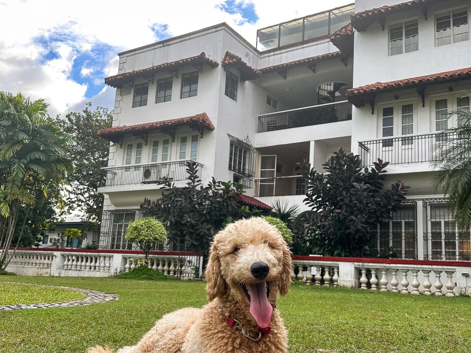 Miranamin Nest Sampaguita - Balconies, Garden View, Pet Friendly Apartamento *