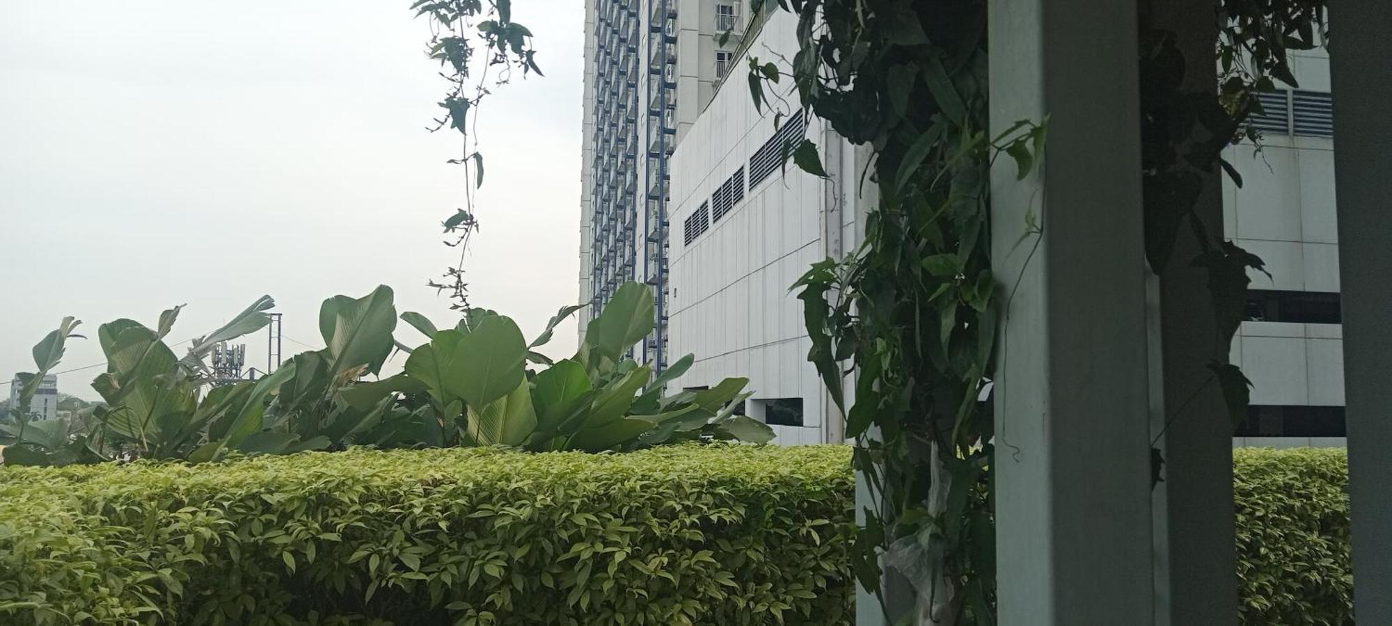 Guest At Grass Residences