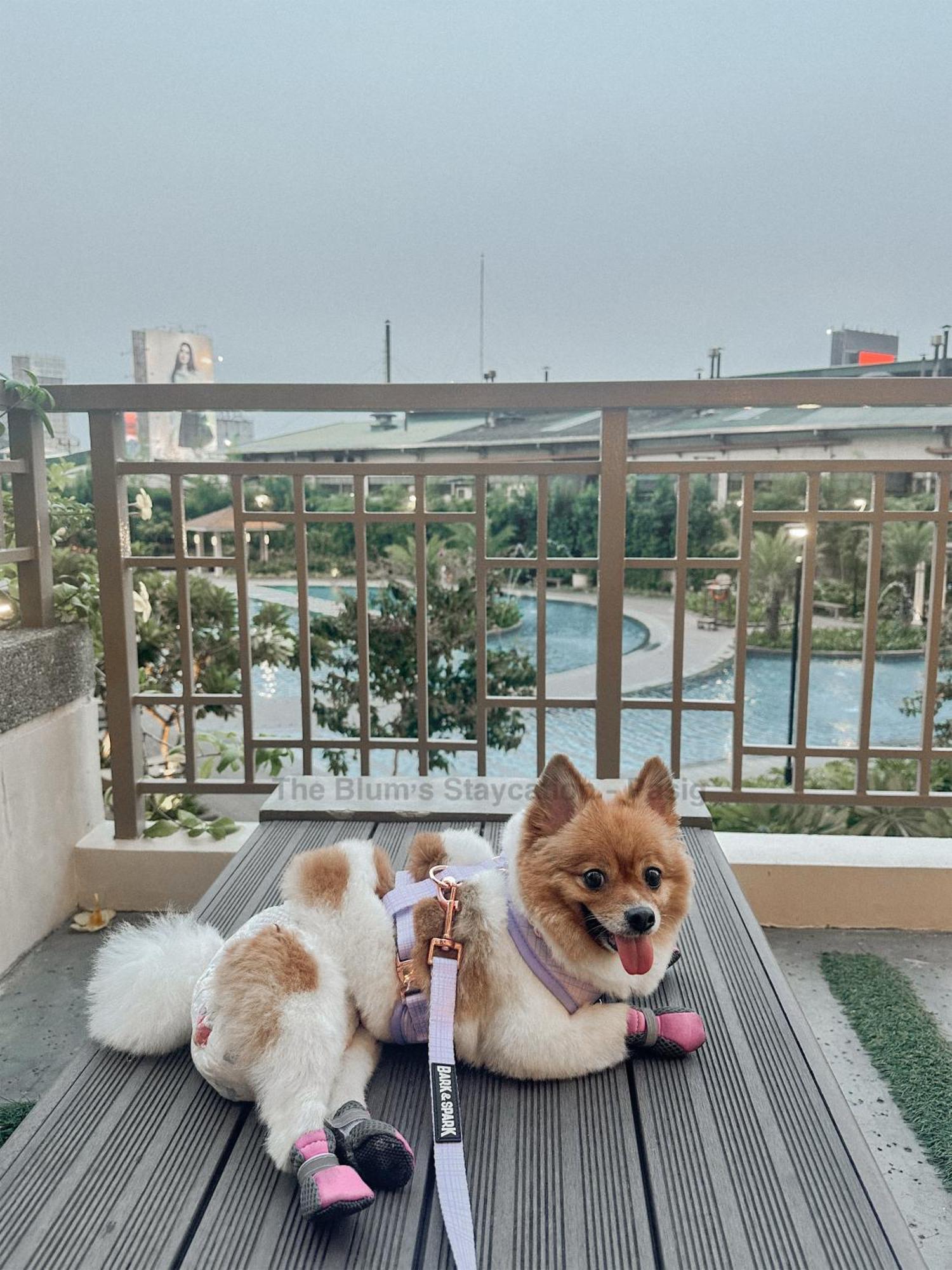 Apartment 2br The Blums At Prisma Residences *