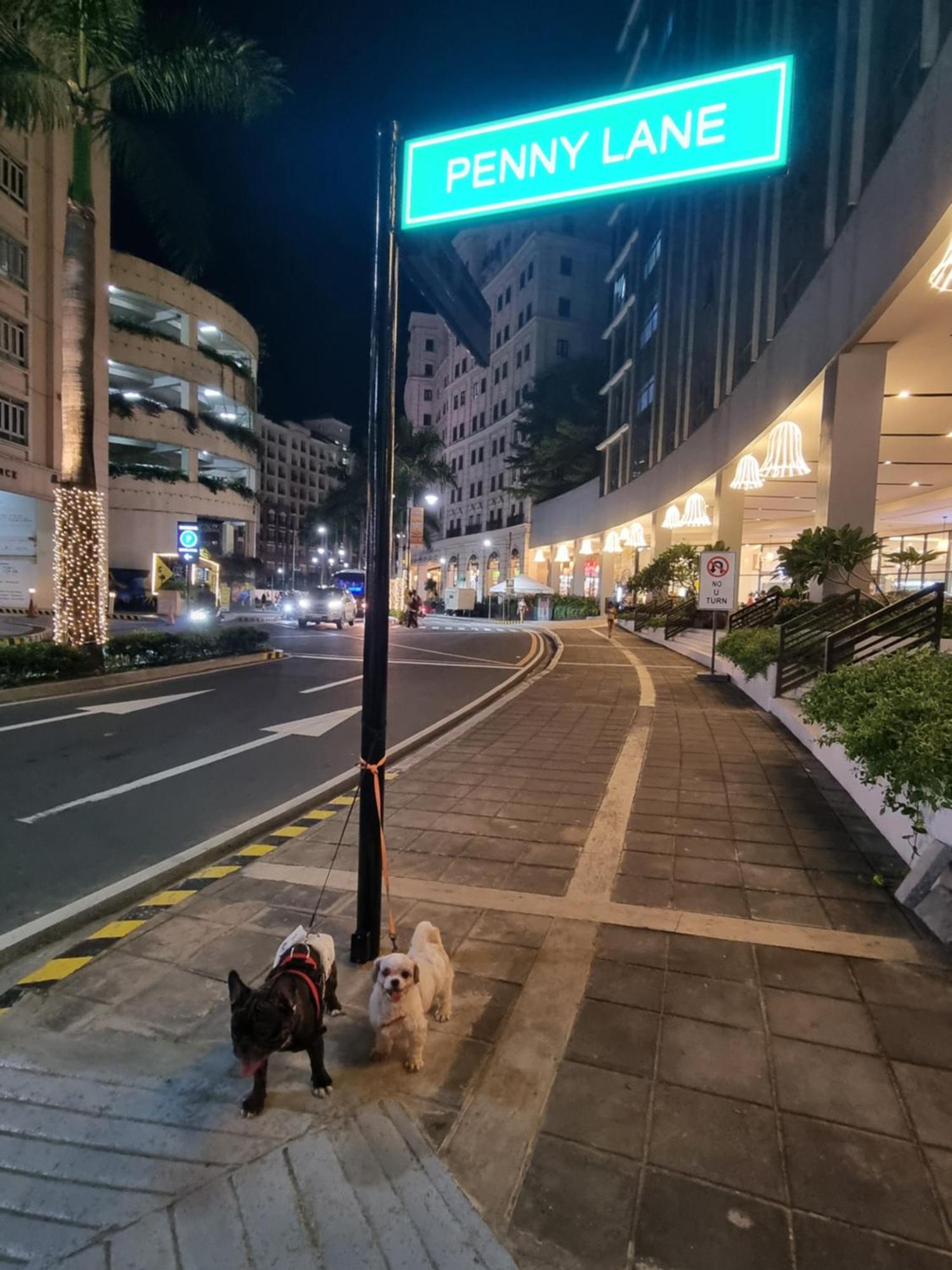 Apartment Palm Tree Near Mnl Airport Terminal 3 By Elr *