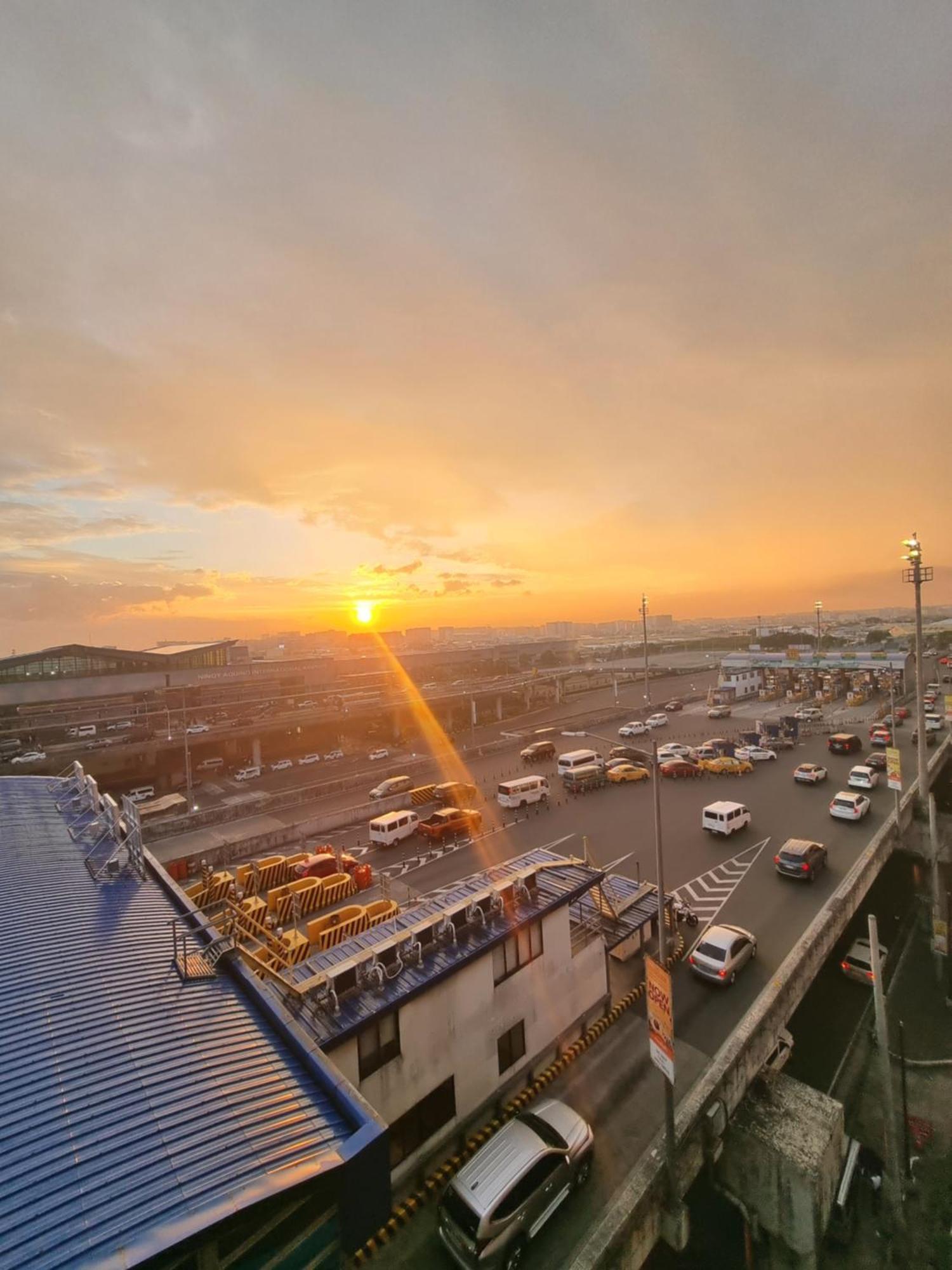 Palm Tree Near Mnl Airport Terminal 3 By Elr