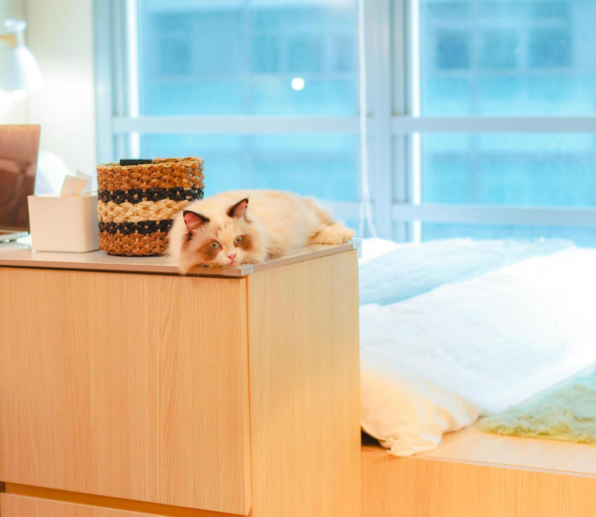 Apartamento Free Parking Promo! Eastwood Legrand 3 - Mowai Manila